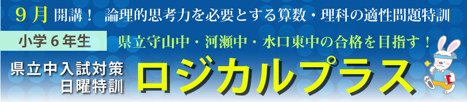 ロジカルプラス